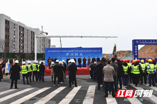 永州國際農副產品智慧冷鏈商貿產業園配套道路工程正式開工建設